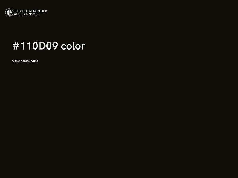 #110D09 color image