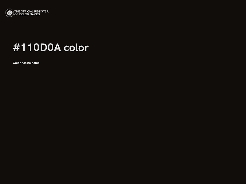 #110D0A color image