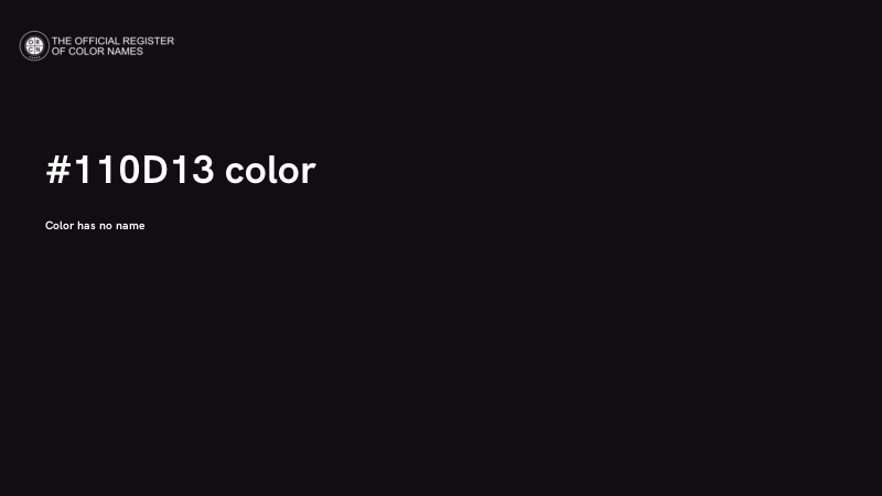 #110D13 color image