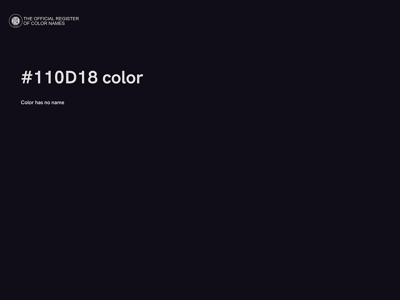 #110D18 color image
