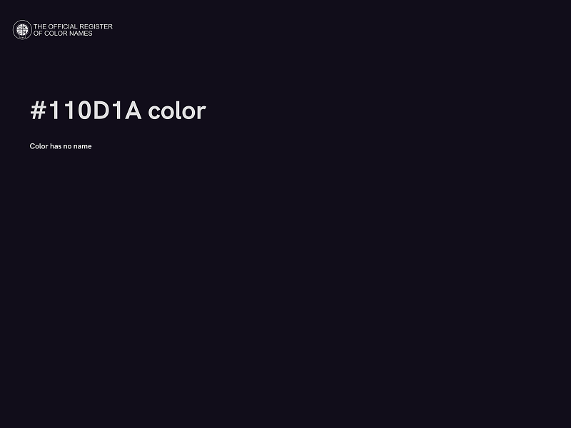 #110D1A color image