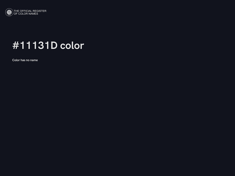 #11131D color image