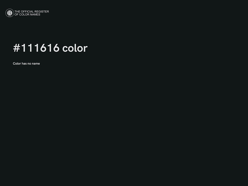 #111616 color image