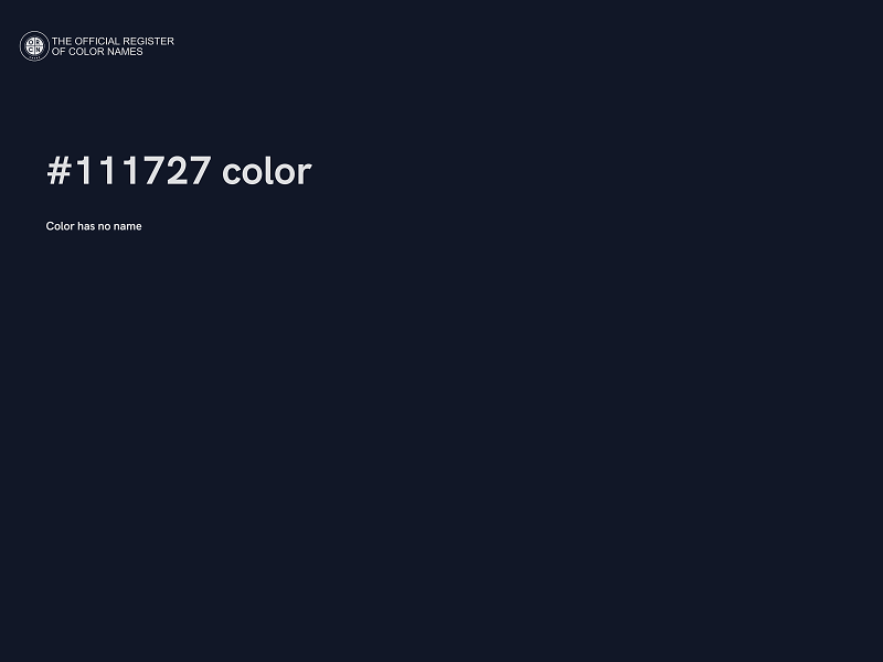 #111727 color image