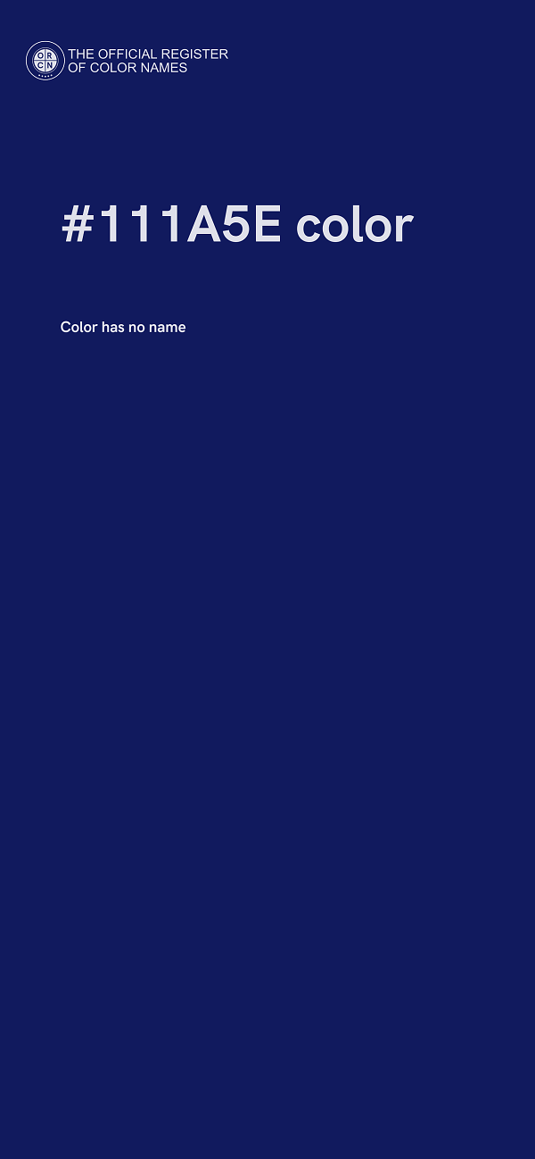 #111A5E color image