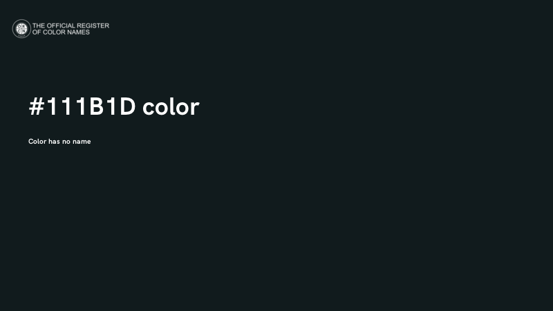 #111B1D color image