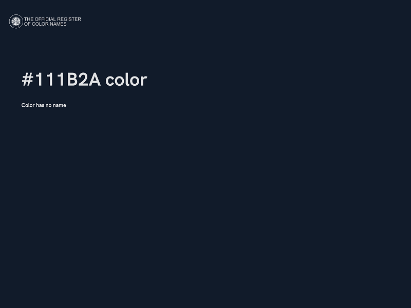 #111B2A color image