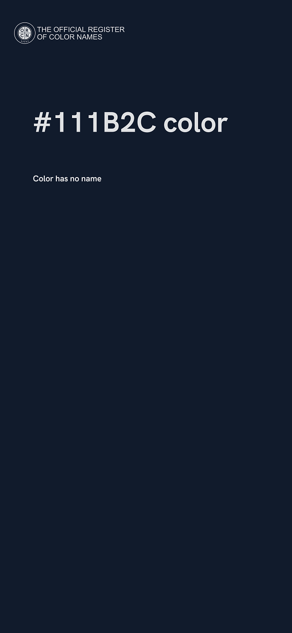 #111B2C color image