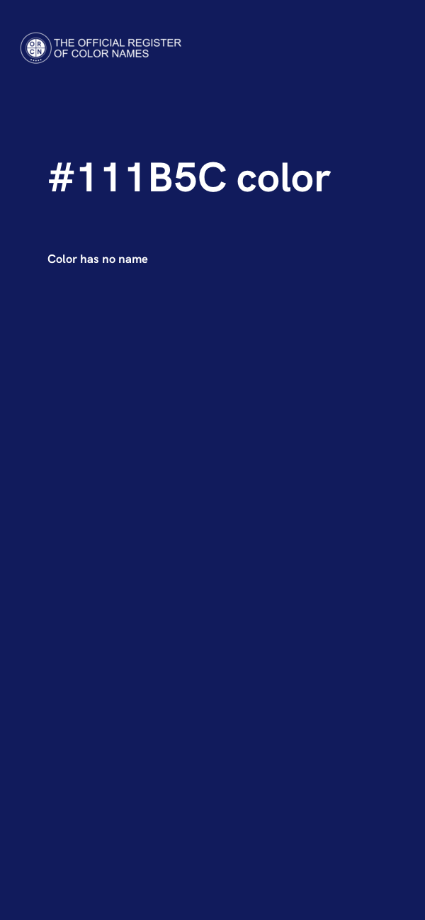 #111B5C color image