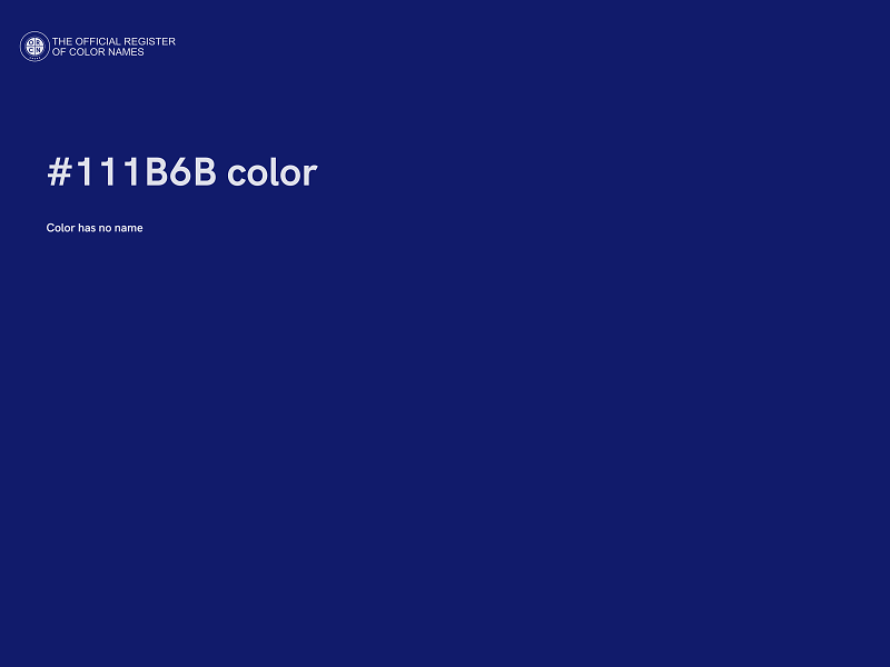 #111B6B color image