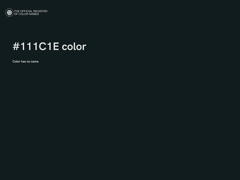 #111C1E color image