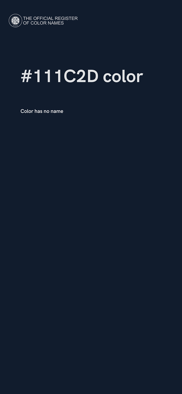 #111C2D color image