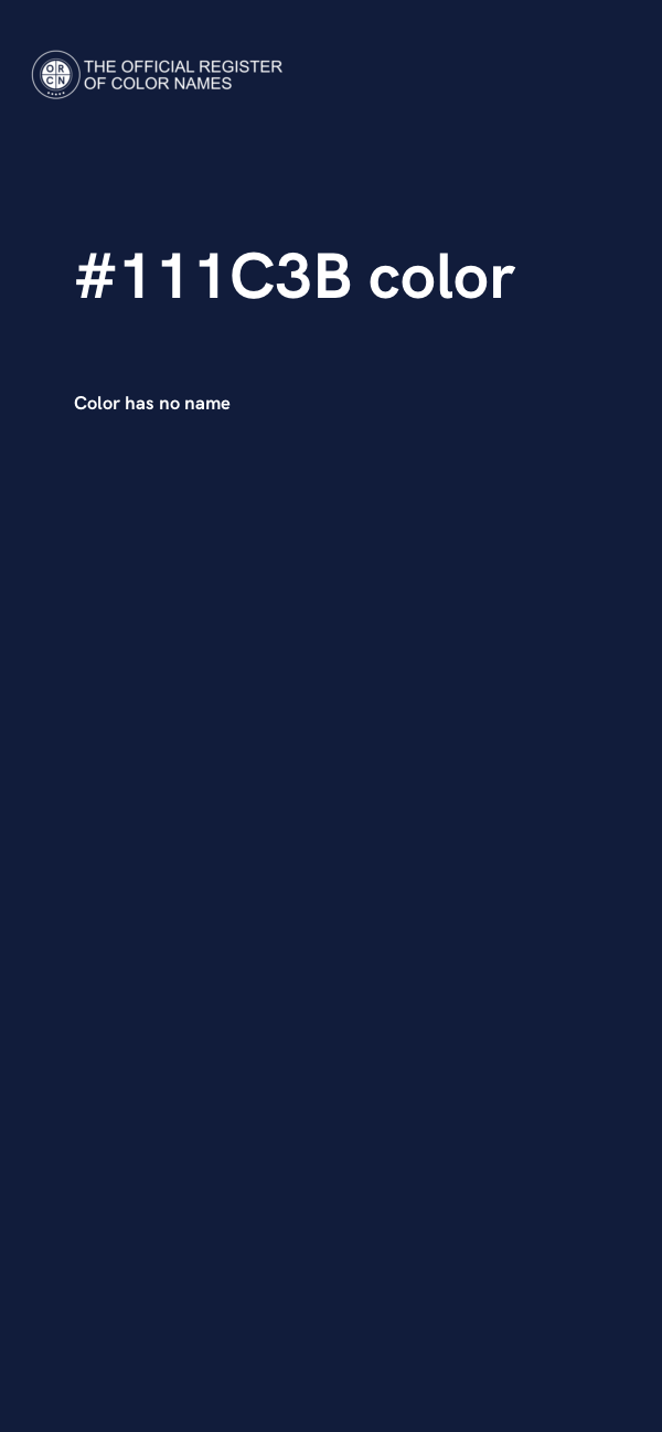 #111C3B color image