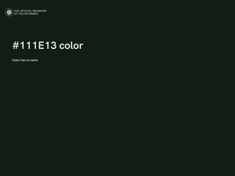 #111E13 color image