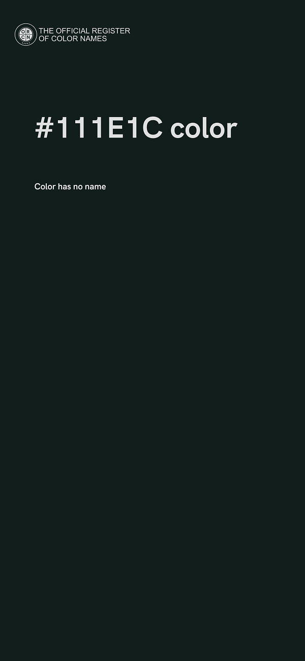 #111E1C color image