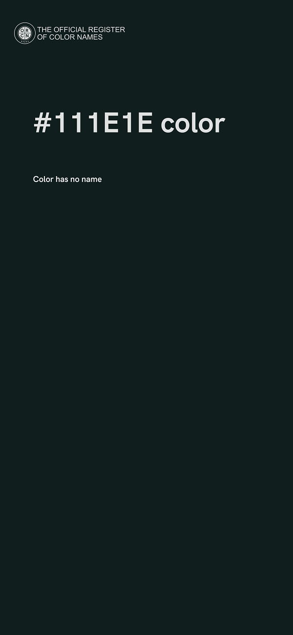 #111E1E color image