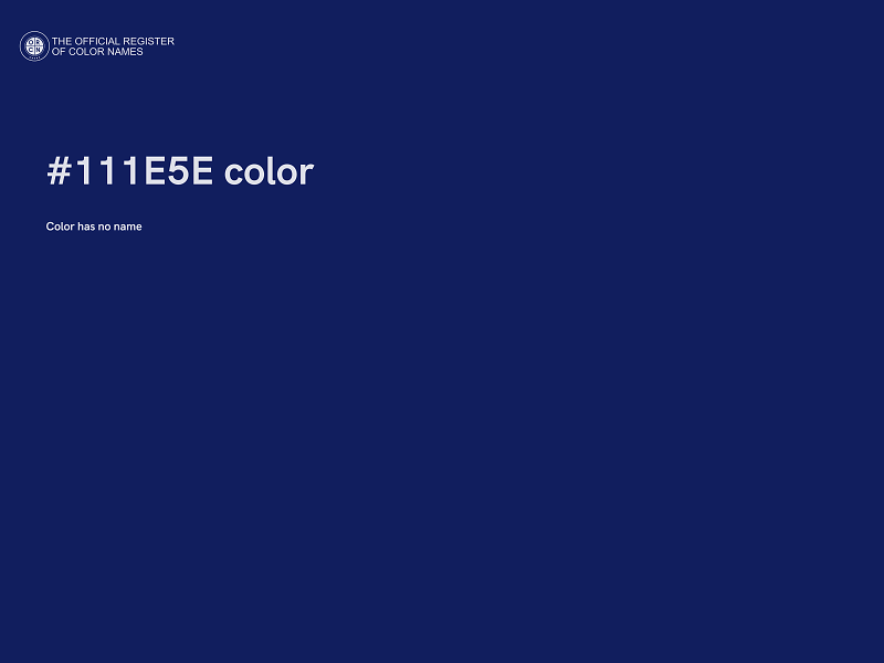 #111E5E color image