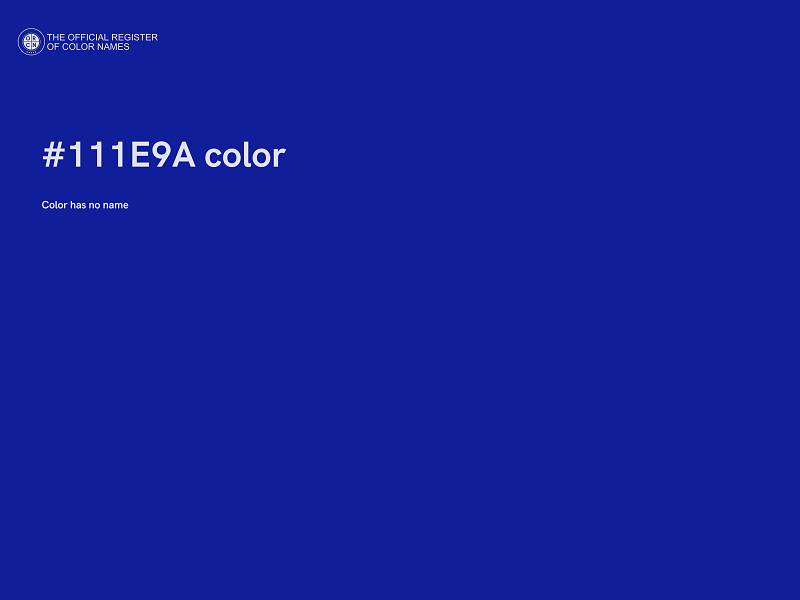 #111E9A color image