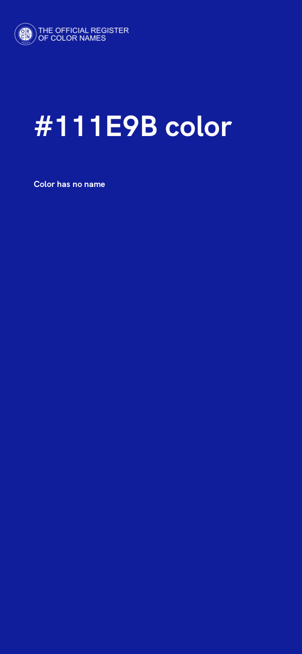 #111E9B color image