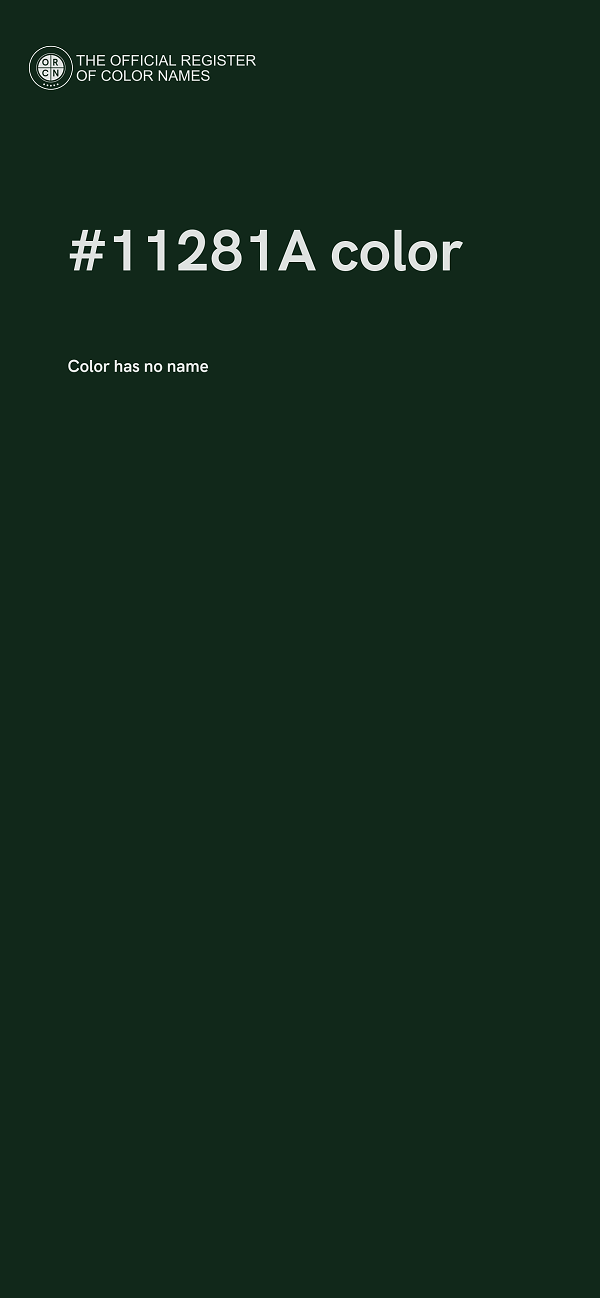 #11281A color image