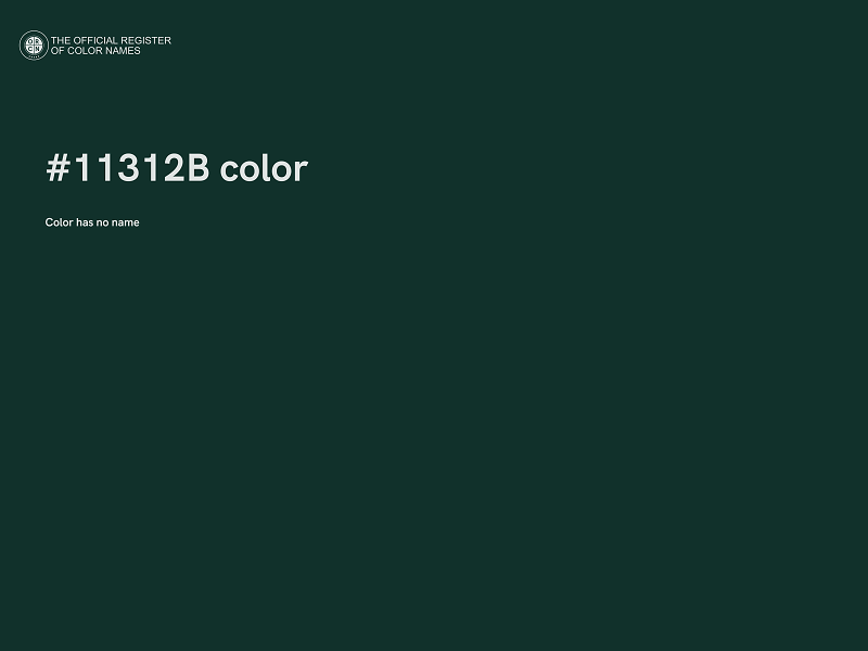 #11312B color image