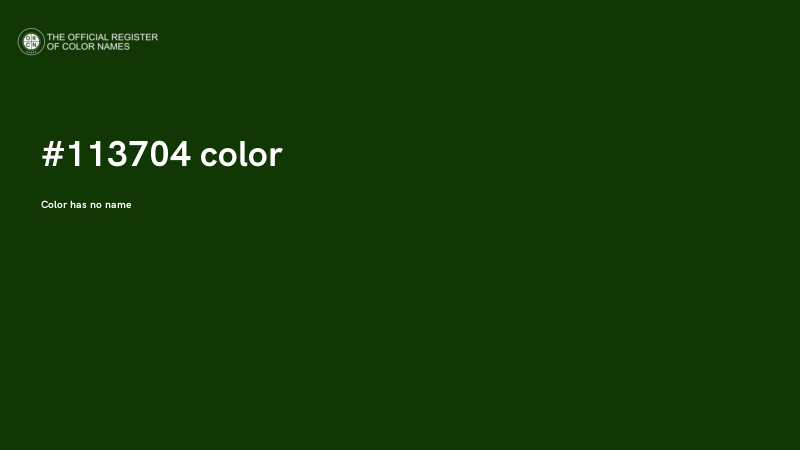 #113704 color image