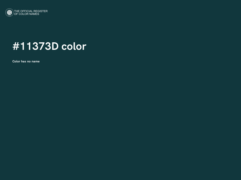 #11373D color image