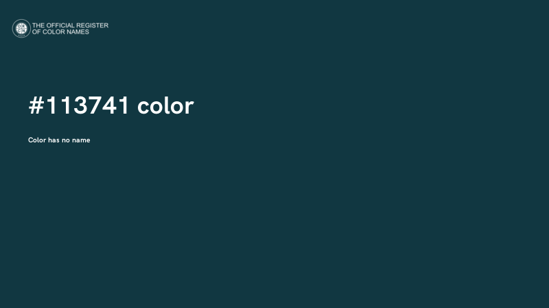 #113741 color image