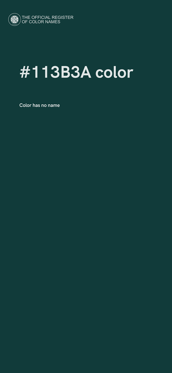 #113B3A color image