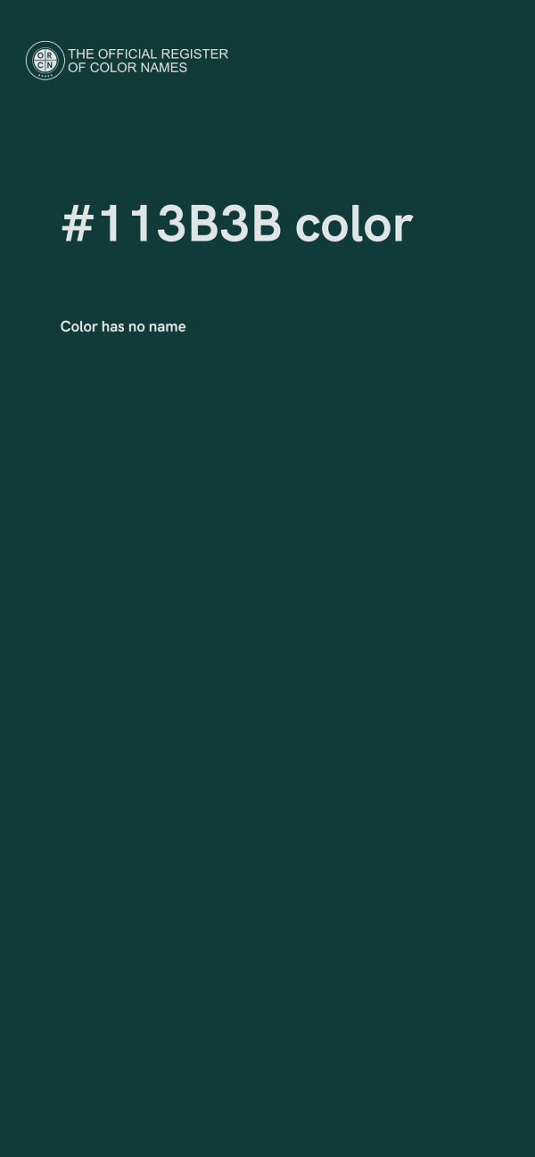 #113B3B color image