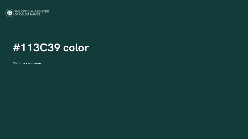 #113C39 color image