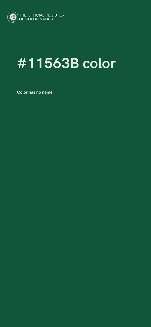 #11563B color image