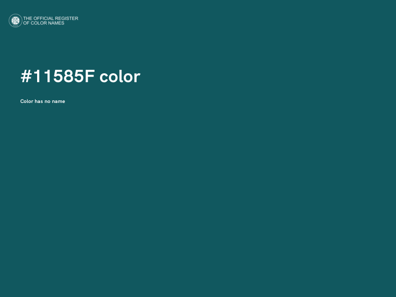 #11585F color image