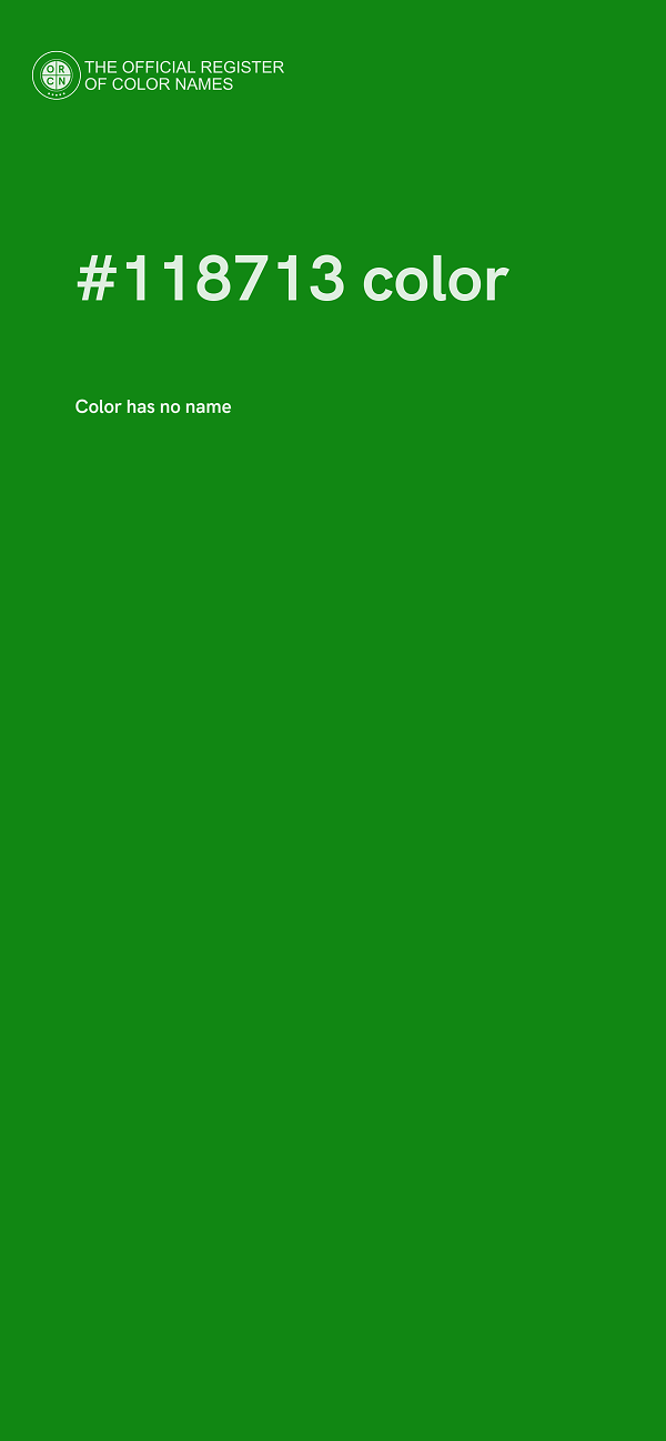 #118713 color image