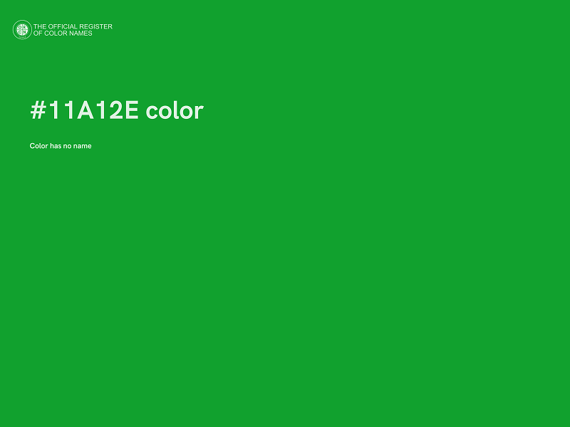 #11A12E color image