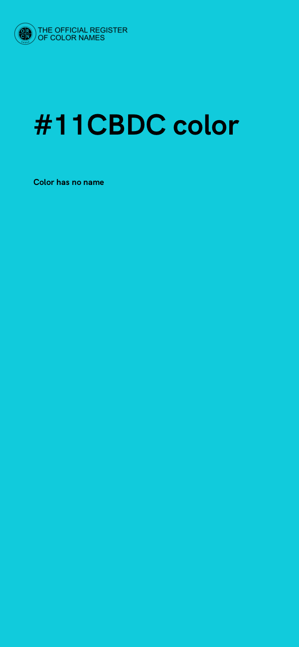#11CBDC color image