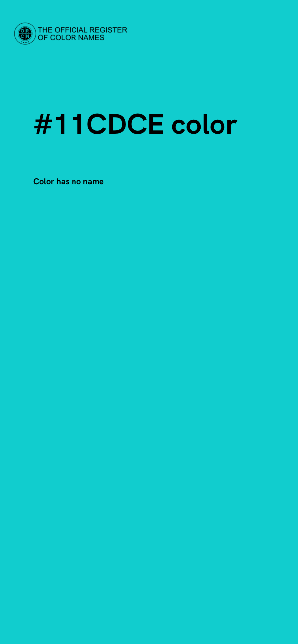 #11CDCE color image