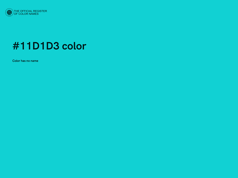 #11D1D3 color image