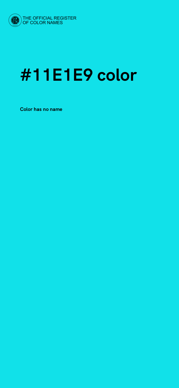 #11E1E9 color image