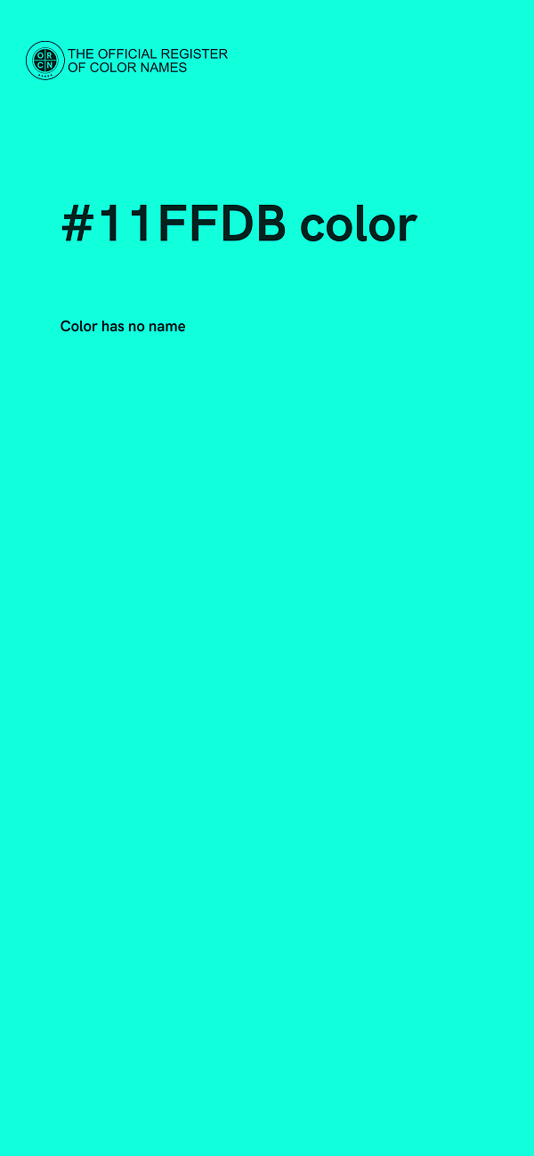 #11FFDB color image