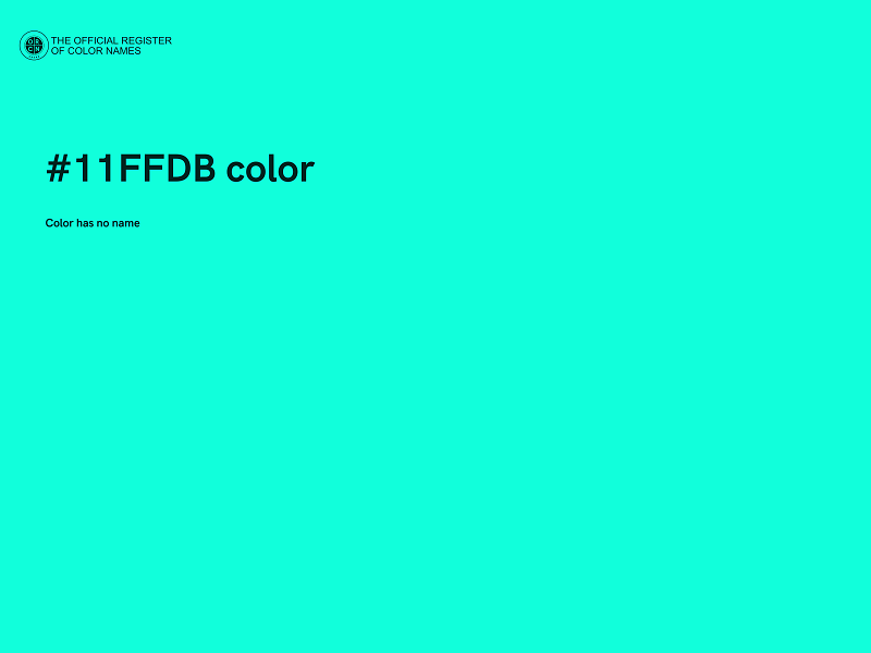 #11FFDB color image