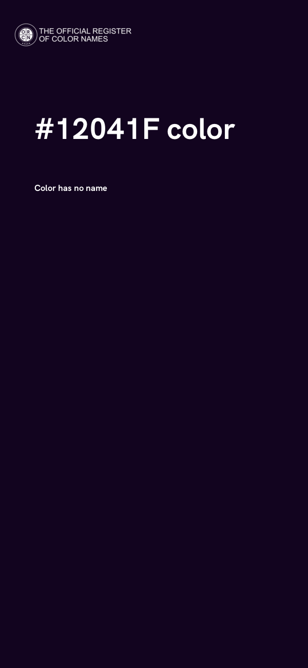 #12041F color image