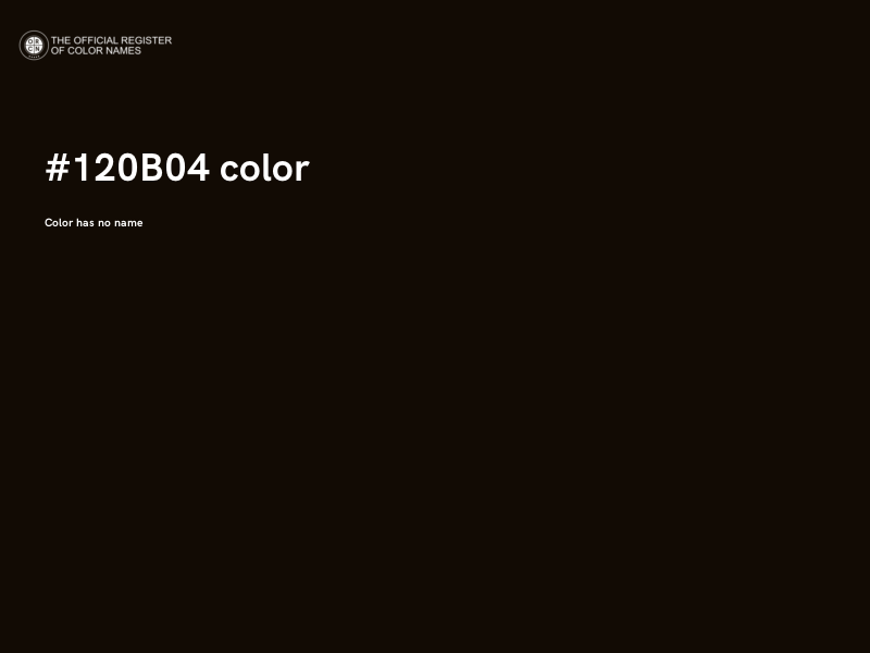 #120B04 color image