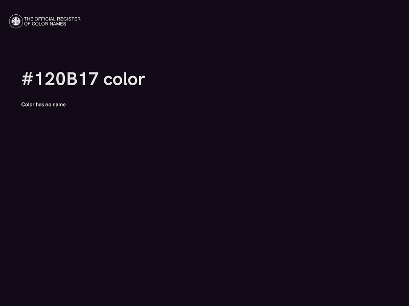 #120B17 color image