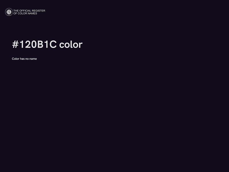 #120B1C color image
