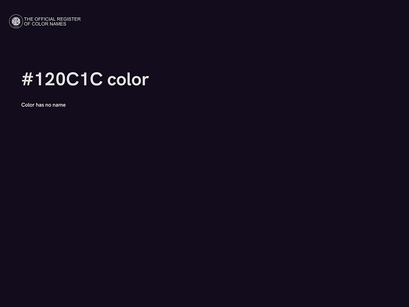 #120C1C color image
