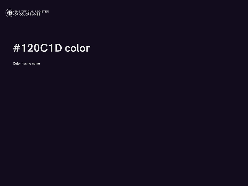 #120C1D color image