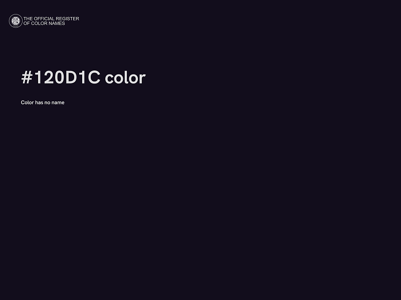 #120D1C color image