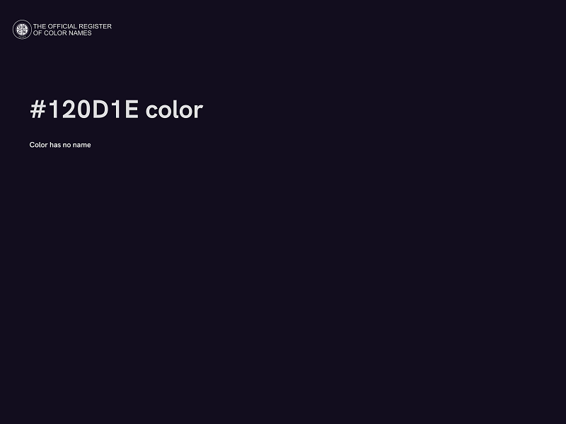#120D1E color image