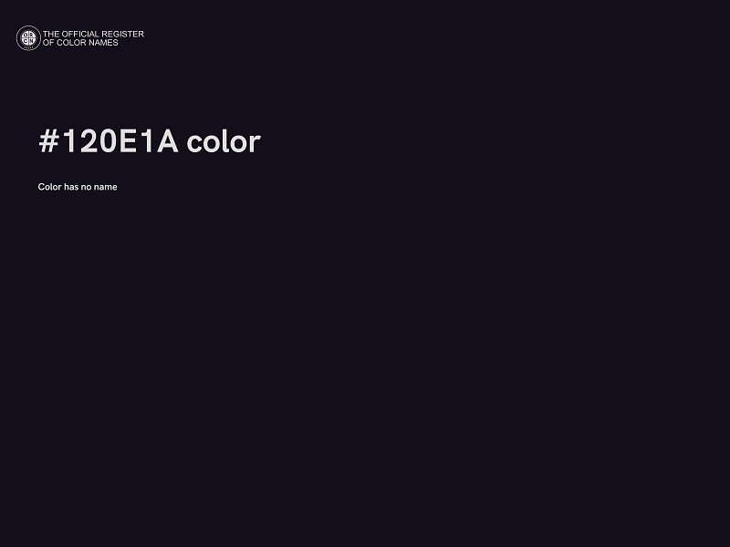 #120E1A color image